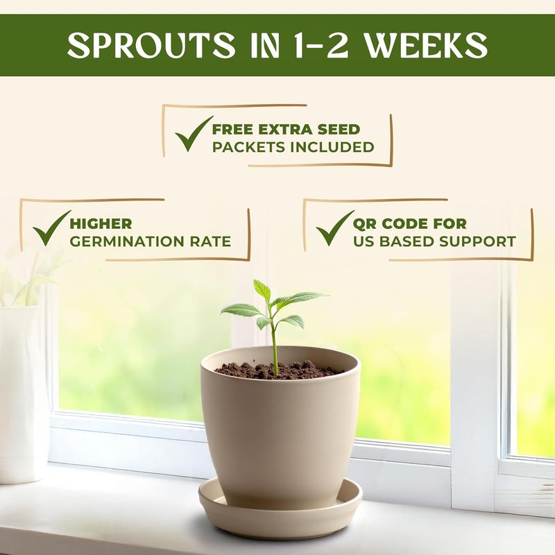 AVERGO Bonsai Starter Kit – Growing Jacaranda Bonzai Tree | Complete Indoor Tree Kit for Growing Plants with Tools & Planter – Gardening Gifts for Mother, Women & Men - Image 4